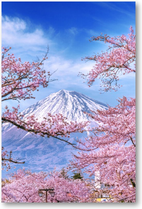 Fuji-berg en kersenbloesems in de lente, Japan - 60x90 Dibond voor Binnen én Buiten - Besteposter - Landschap
