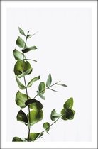 Walljar - Eucalyptus - Muurdecoratie - Poster met lijst