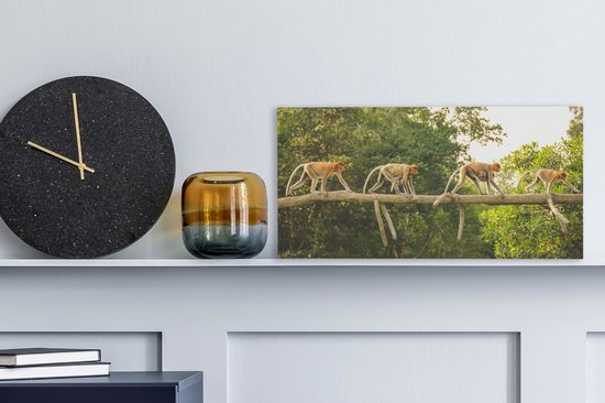 Tableau sur toile Singes marchant sur une branche - 40x20 cm - Décoration murale