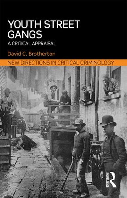 New Directions in Critical Criminology - Youth Street Gangs - cover