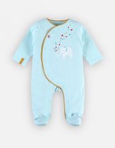 Noukie's - Pyjama - Katoen - Glitter olifant - 6 maand / 68