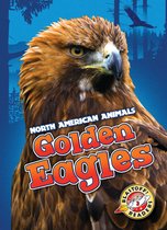 North American Animals - Golden Eagles