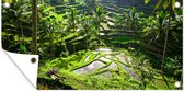 Tuinposter Spectaculaire rijstvelden ten noorden van Ubud - 60x30 cm - Tuindoek - Buitenposter