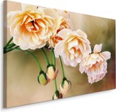 Schilderij - Bloeiende Rozen en knoppen, Roze, Premium Print