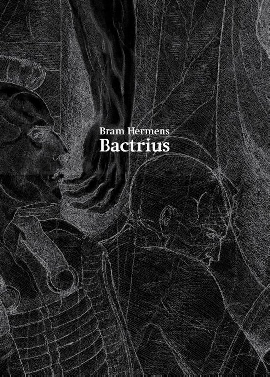 Cover van het boek 'Bactrius' van Sandra Smets