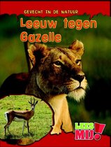 Leeuw Tegen Gazelle