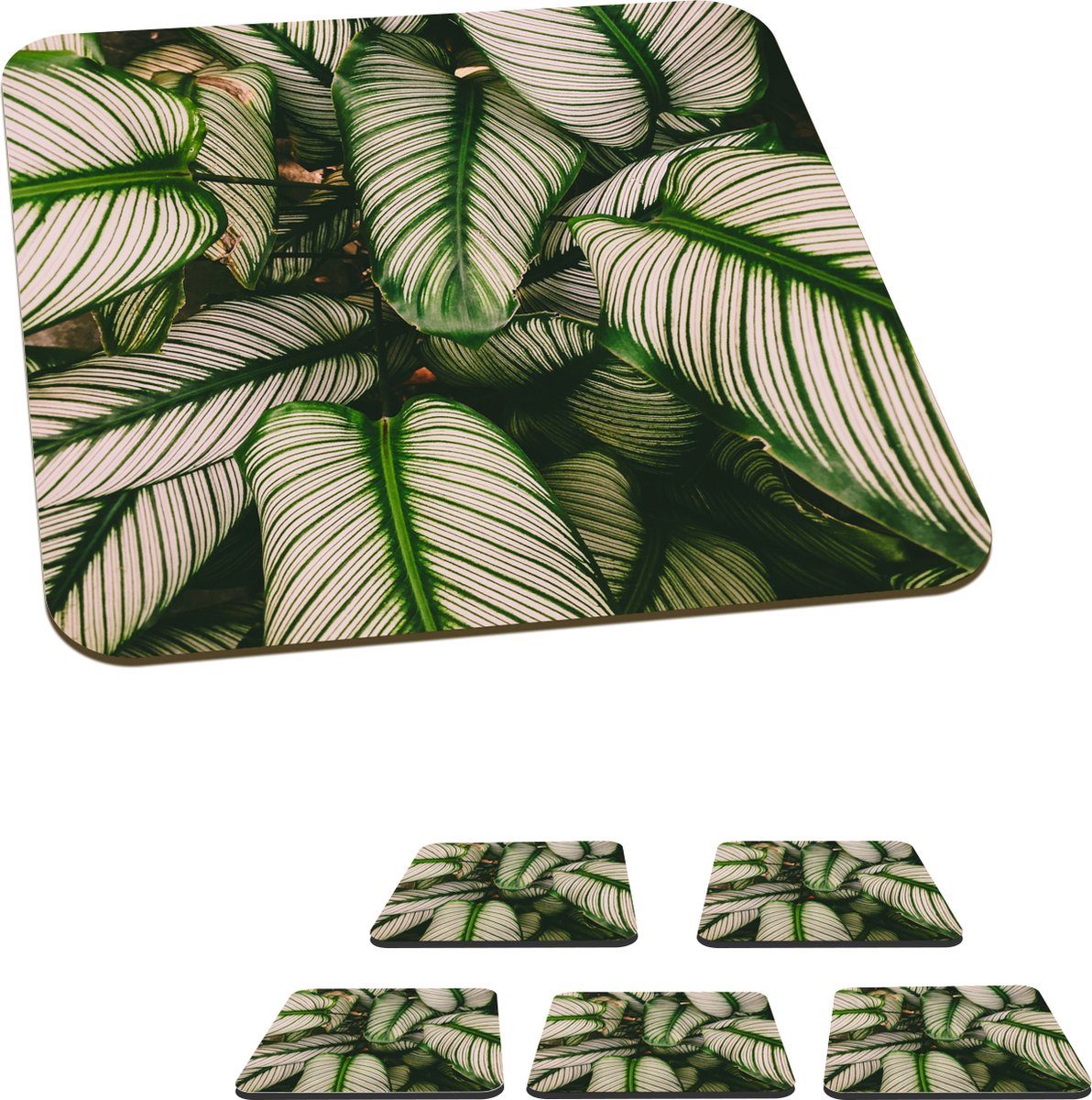 Onderzetters voor glazen - Bladeren - Planten - Wit - 10x10 cm - Glasonderzetters - 6 stuks