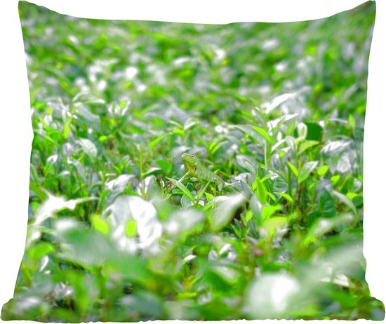 Sierkussens - Kussentjes Woonkamer - 60x60 cm - Groene planten op ondergrond van tropisch gebied