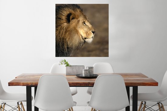 Affiche Profil - Lion - Afrique - 75x75 cm