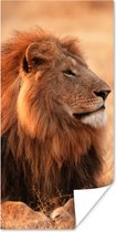 Affiche Soleil - Lion - Chasse - 40x80 cm