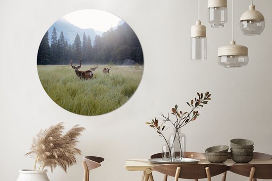 WallCircle - Stickers muraux - Cercle Papier Peint - Forêt - Cerf - Brouillard - 120x120 cm - Cercle Mural - Auto Adhésif - Sticker Papier Peint Rond XXL