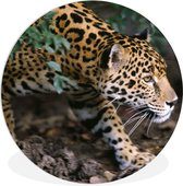 WallCircle - Wandcirkel ⌀ 150 - Sluipende jaguar in bos - Ronde schilderijen woonkamer - Wandbord rond - Muurdecoratie cirkel - Kamer decoratie binnen - Wanddecoratie muurcirkel - Woonaccessoires