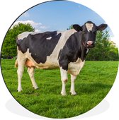 Cercle mural - Cercle mural - Vache - Herbe - Animal - Aluminium - Dibond - ⌀ 90 cm - Intérieur et Extérieur