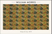 Walljar - William Morris - Tulip and Lily - Muurdecoratie - Poster