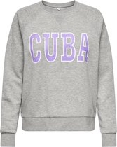 Jacqueline de Yong Trui Jdyvenus L/s Print Sweat Jrs 15215453 Light Grey Mela/ Cuba Dames Maat - XS