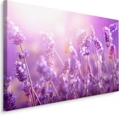 Schilderij - Lavendel in de Zon, Paars, Premium Print