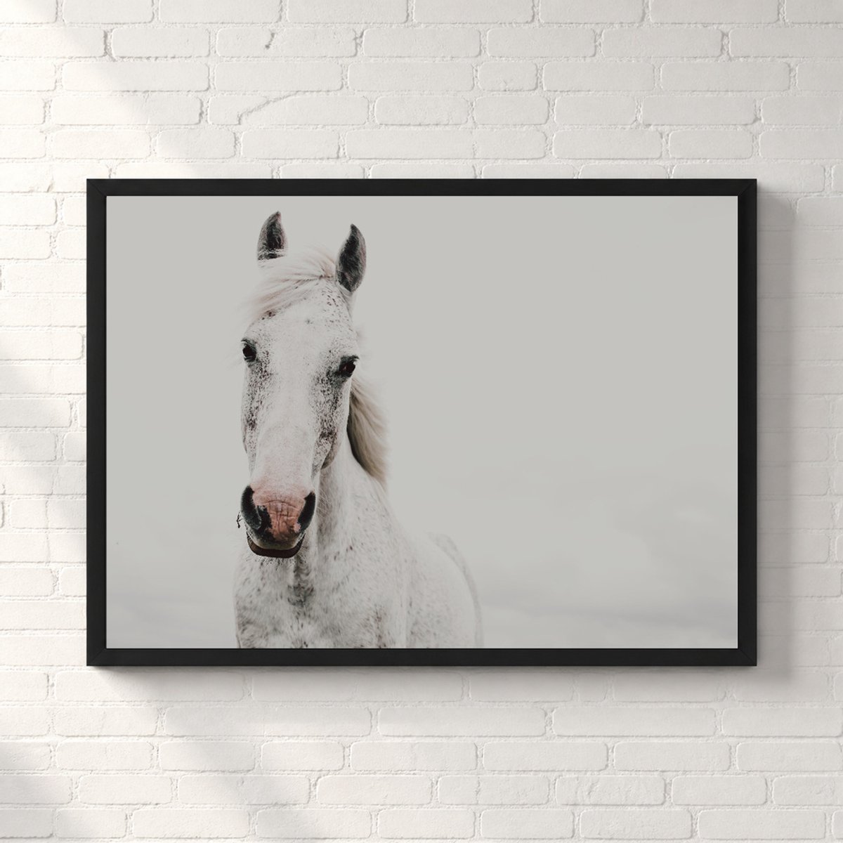 Wit Paard Portret Poster - Nature Animals Collection - Natuur Posters - A1+ 91,5 x 61 cm