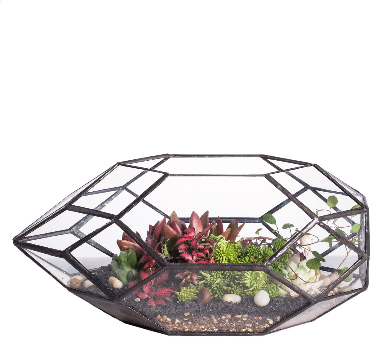 Glazen terrarium 28 cm - handgemaakt en geometrisch - ideaal voor vetplanten - decoratie voor vensterbank - ShopVlot