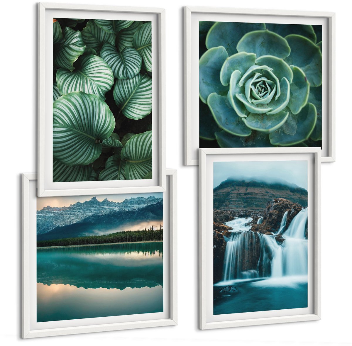 Tulup 4-Delige Schilderij Set - Close-ups van planten, bladeren en vetplanten - 40x40 en 40x60 - Wanddecoratie - Moderne Interieurdecoratie - Interieur Decoratie