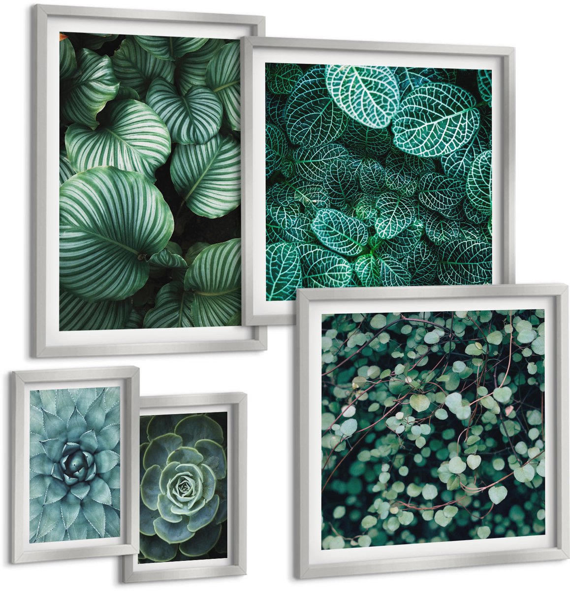 TULUP 4-Delige Schilderij Set - Plantmotieven met bladeren en vetplanten in een natuurlijke stijl - 50 x 50 cm, 20 x 30 cm en 40 x 60 cm - Wanddecoratie - Schilderijen Set - Interieur - Interieur Decoratie Zilveren lijst