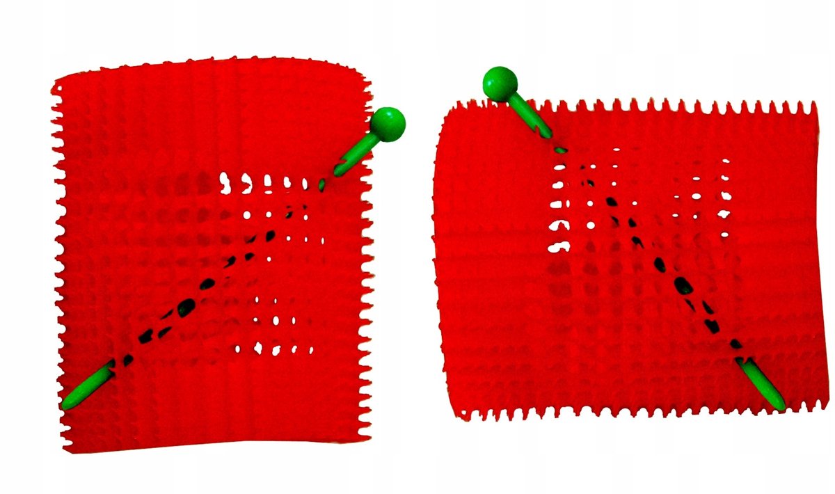 Zachte Haarrollers met Klem - 54 mm - 4 Stuks