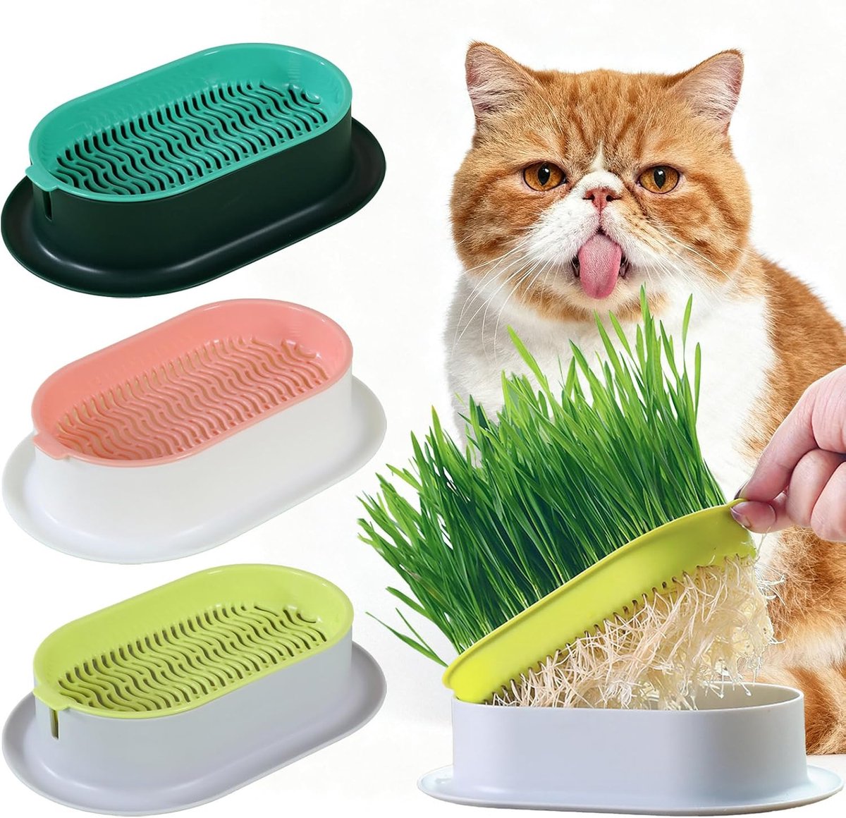 Grasbox voor katten - Diervriendelijk kattengras, makkelijk te kweken - Natuurlijke snack voor jouw huisdier - Herbruikbaar en met beschermrooster - Geschikt voor binnen en buiten - Set van 3.