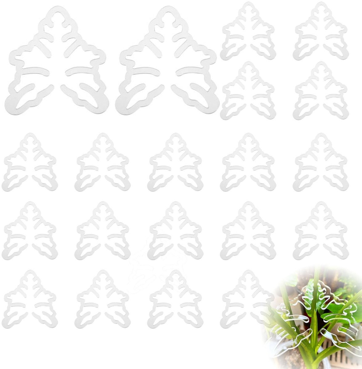 Dailygoods- Bloemensteelhouder Set van 20 - Bamboe Klemmen - Herbruikbare Plantenhouder - Transparant Acryl - Perfecte Organisatie - Hoogwaardig Materiaal - Plantenhanger