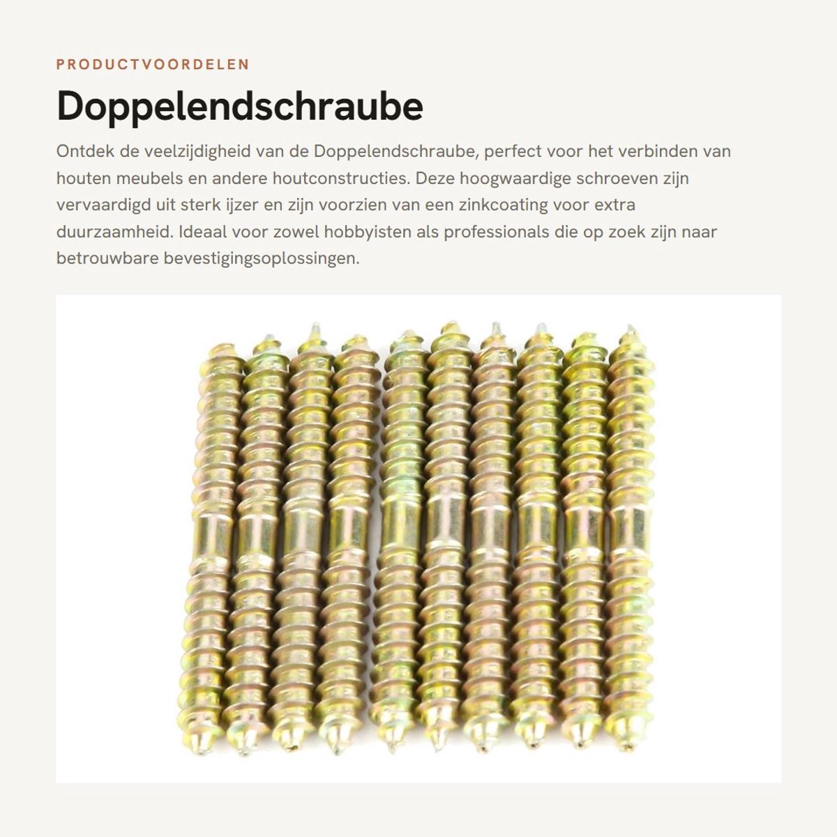 Dailygoods- Doppelendschroef 6 * 60 mm - Houtschroeven - Passschroef - Verzinkte Schroeven - Set van 10 - Robuust en duurzaam - Houtschroef