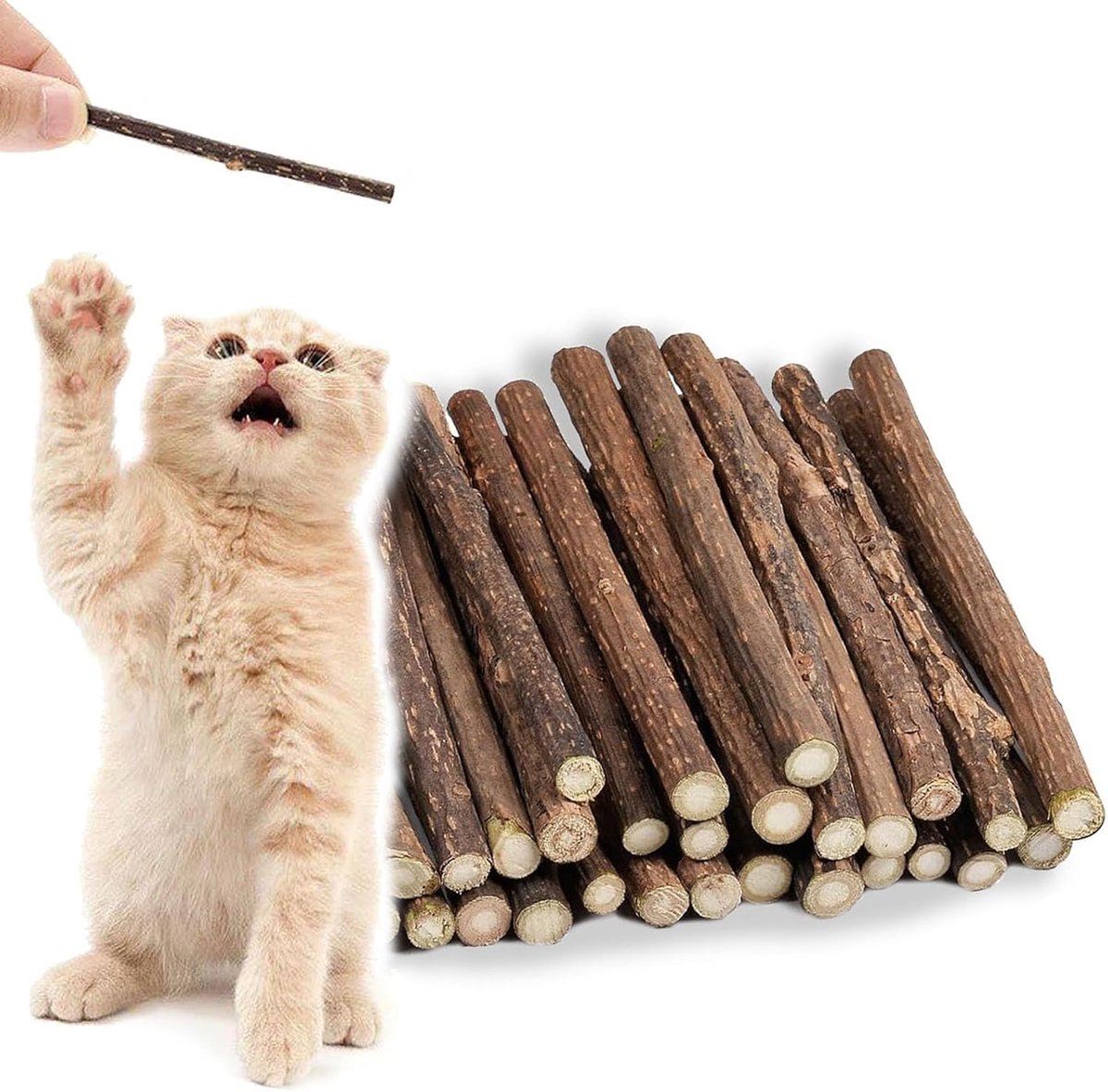 Thijox - Matatabi Sticks voor Katten - 30 Natuurlijke Kattenkruidstokken - Tandverzorging en Mondgeurverfrissing - Gezond Kauwgedrag - Hout - Diameter
