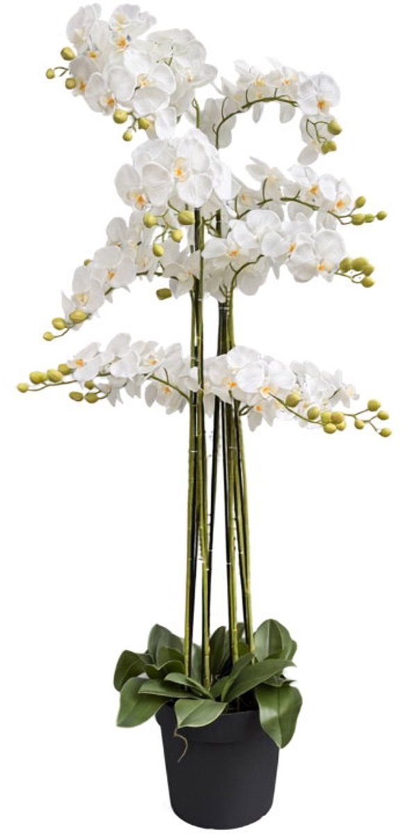 Orchidee wit in pot H 160 cm kunstplant Oosterik Home