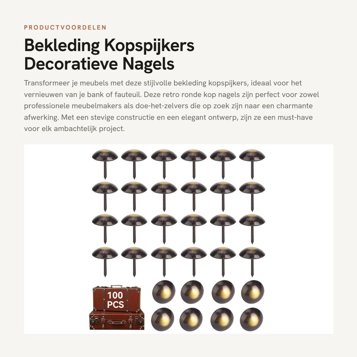 Dailygoods- Meubelnagels 100 Stuks - Bekleding Spijkers - Retro Ronde Kop - Decoratieve Nagels - Verdikte Nagels - Afmetingen 19x23mm