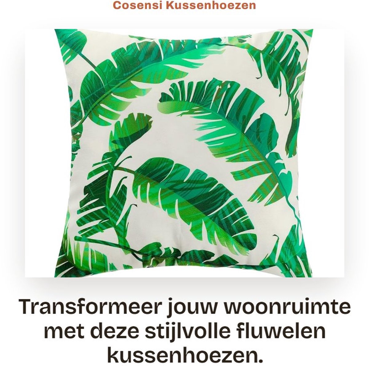 Dailygoods- Kussenhoezen 45 x 45 cm - Fluwelen Kussenslopen - Decoratieve Kussenslopen - Set van 4 - Handwas/Machinewasbaar - Perfect voor Woonkamer - Kussensloop