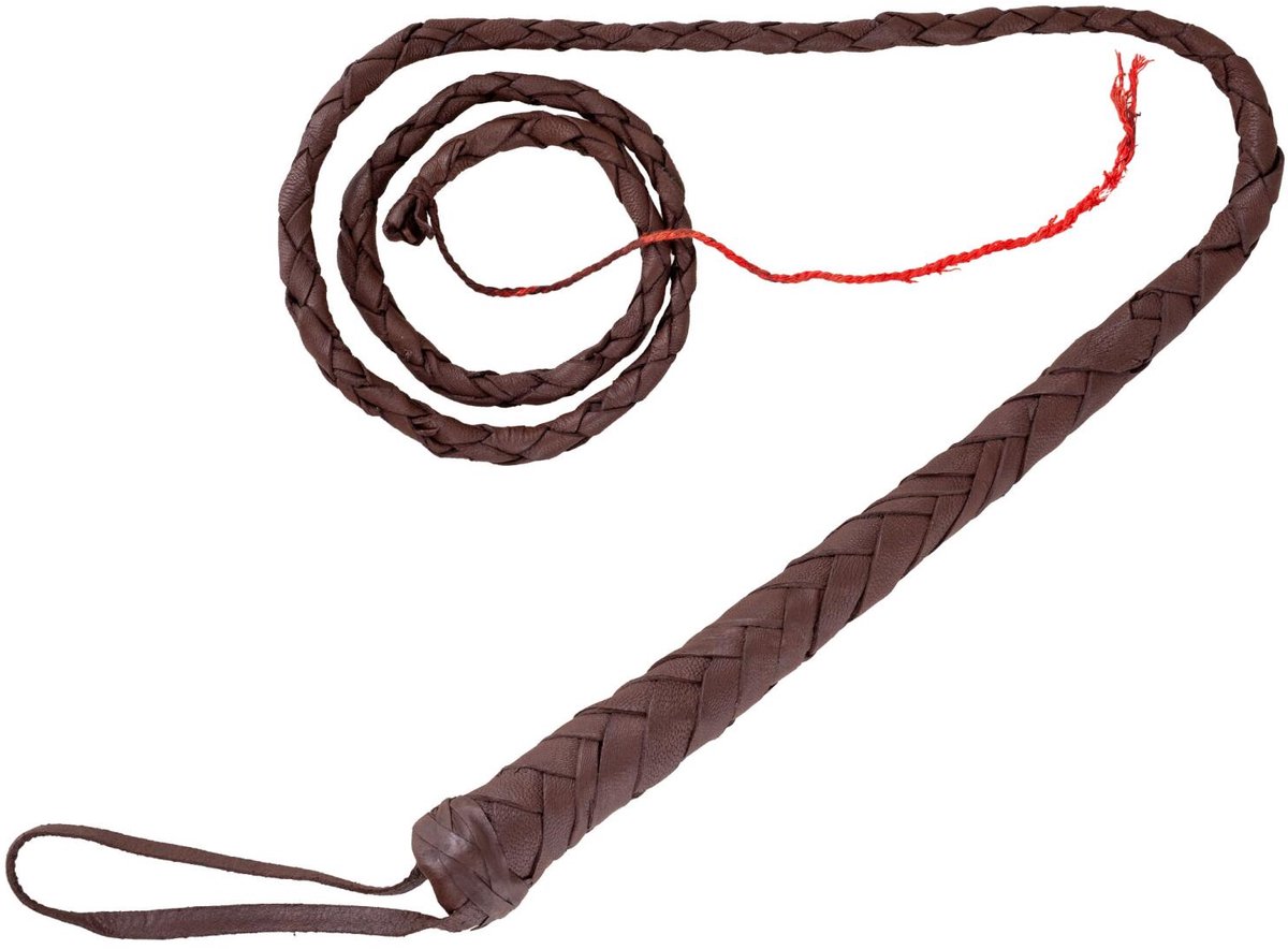 Verkleed accessoires western zweep - met handvat - bruin - 120 cm - cowboy en indianen