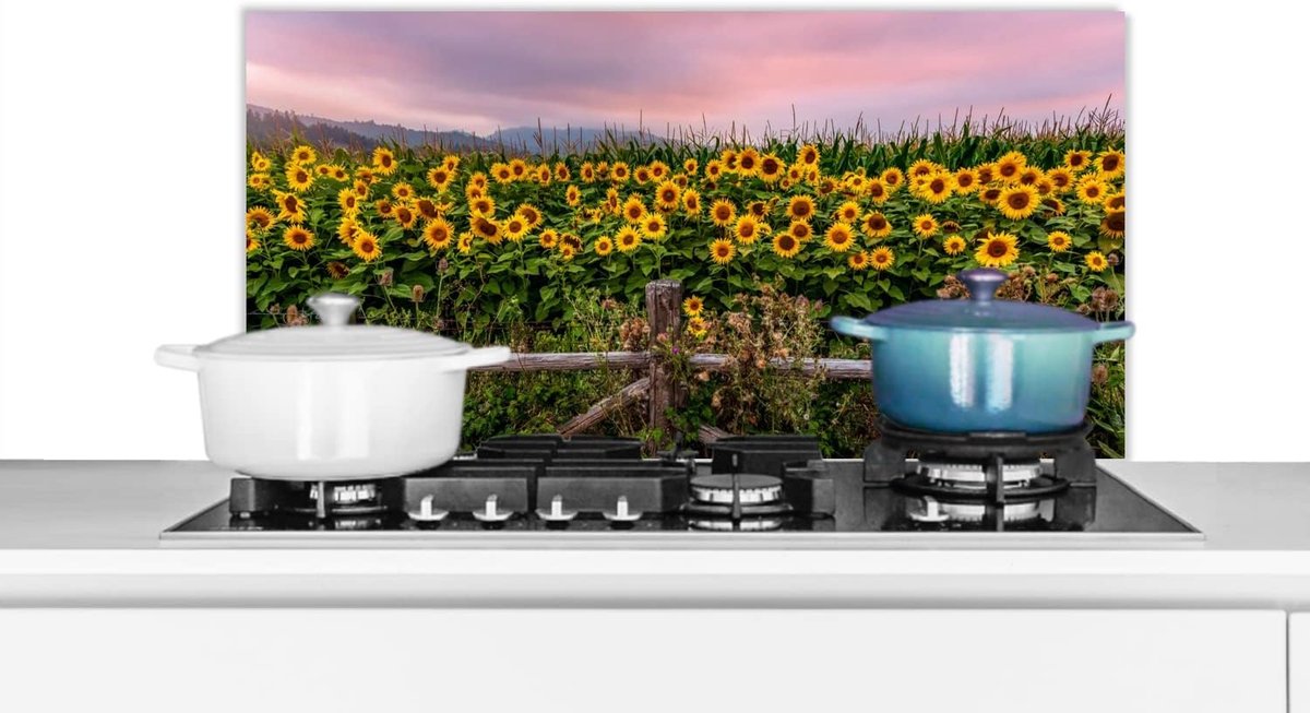 Spatscherm Keuken Wandpaneel Achterwand Koken Beschermen Luxe Aluminium 80x40 cm Veelkleurig