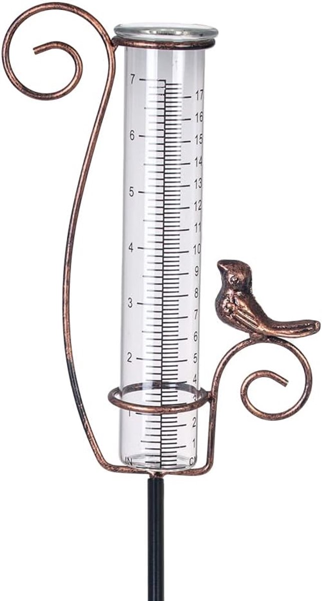 SnelShoppen - Outdoor Regenmeter 7 Inch, Weerbestendige Neerslagmeter met Glazen Buizen en Metalen Vogel Design voor Tuin Decoratie