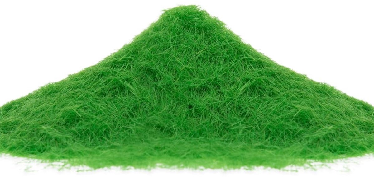 SolidKeus - 30g Kunstgras Poeder voor Modelbouw en Diorama's (Winter Groen)