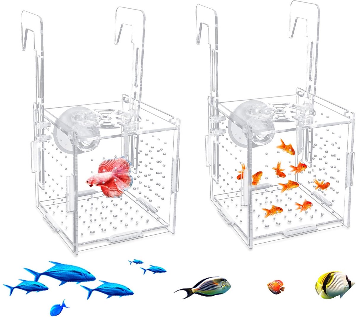 SolidKeus - Acryl Kweekbox voor Aquarium, Set van 2