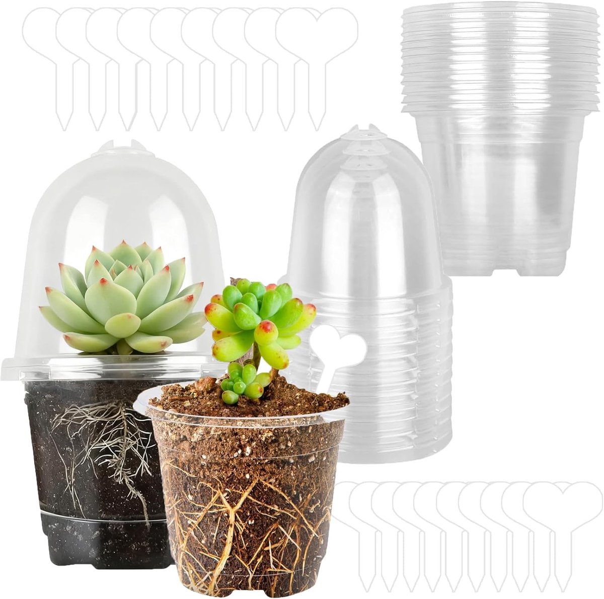 Set van 20 Doorzichtige Kweekpotten van 9 cm, Rond, Herbruikbare Plantenpotten met Afvoergaten, Inclusief 20 Vochtige Doms en Plantlabels voor Optimale Groei