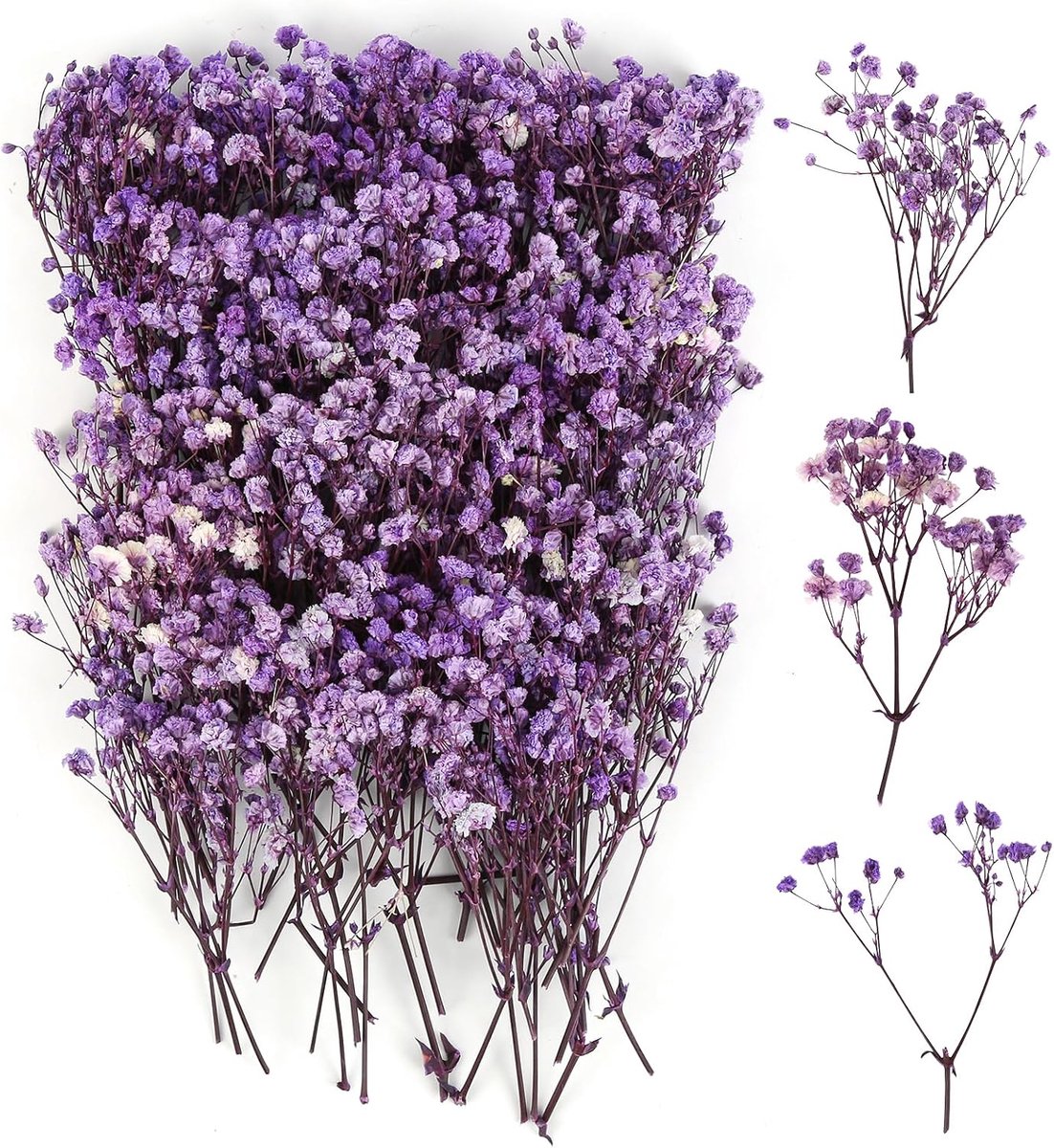 Gedroogde bloemen, natuurlijke gedroogde bloemen, kleurbestendig, mini gypsophila gedroogd voor botanische exemplaren, fotolijsten, nail art (donkerpaars)
