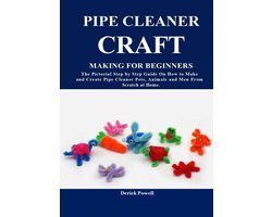 Pipe Cleaner Craft Making For Beginners