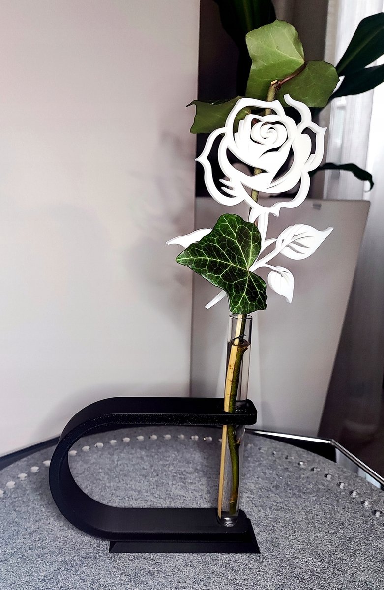 Moderne Vaas met Reageerbuis voor Bloemen - Decoratieve Fles, Kleurrijk