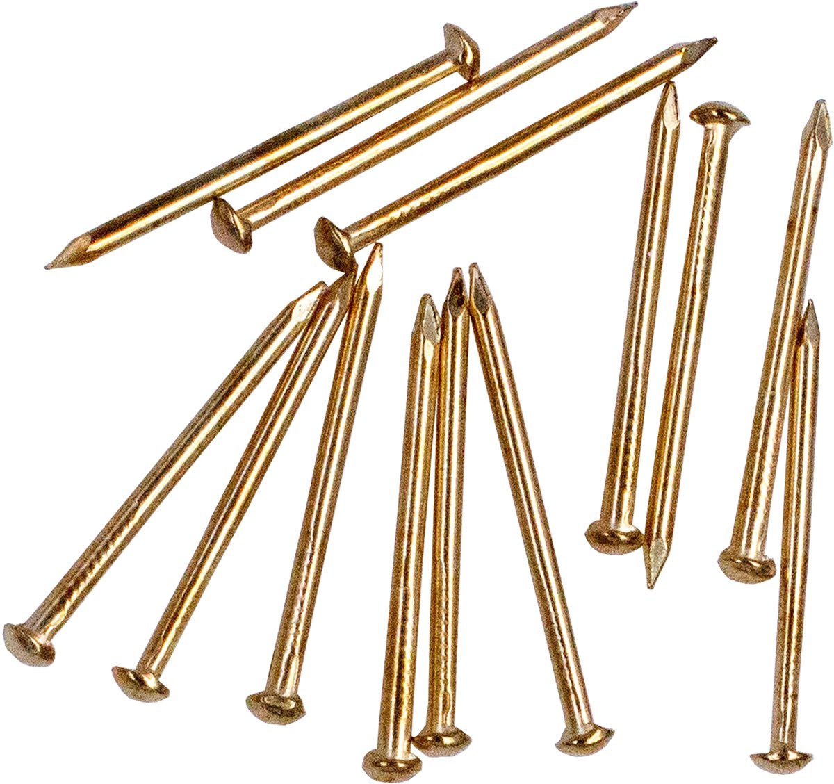 Omgoods - 300 Stuks Messing Spijkers van 25 mm
