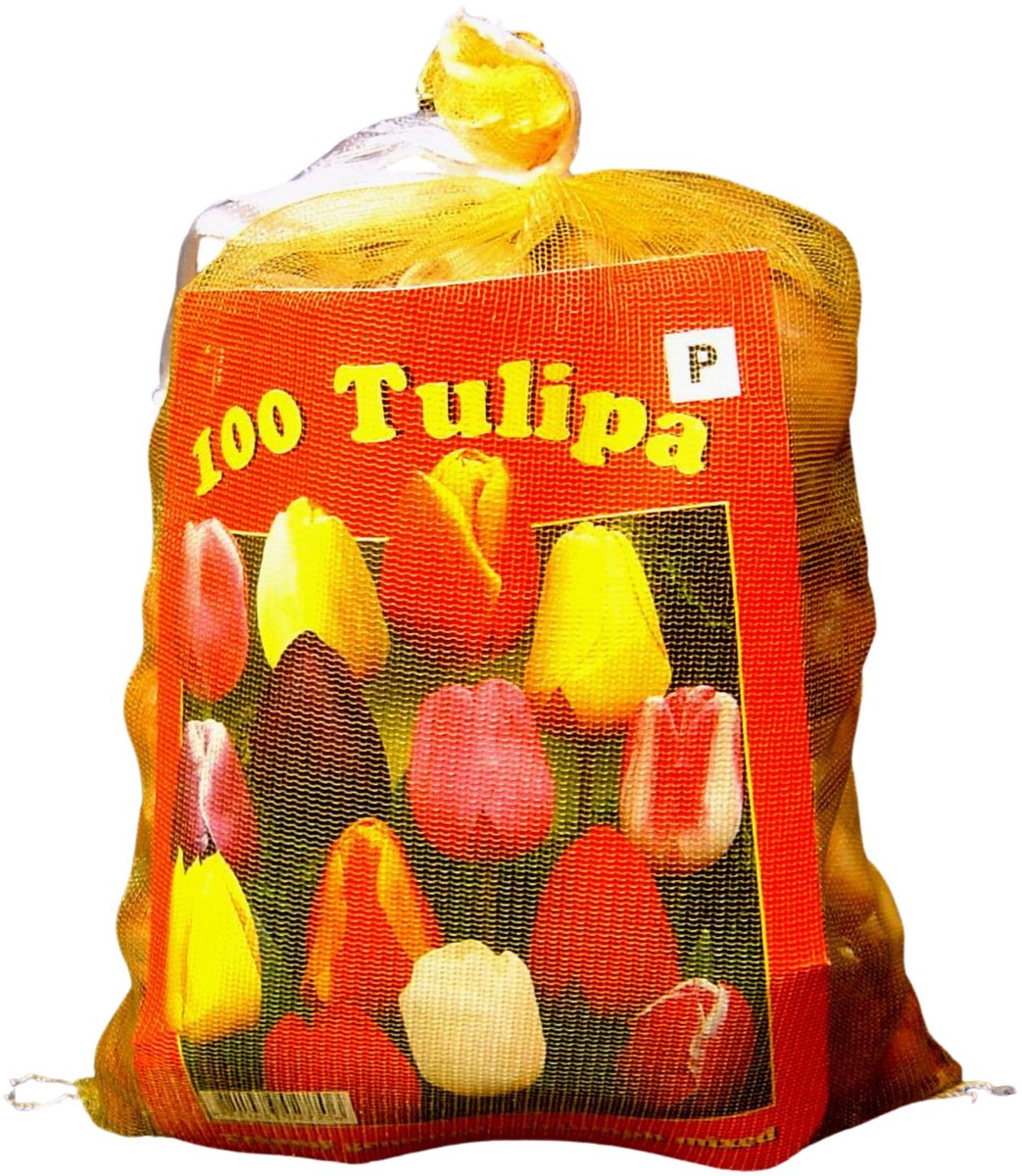 Tulp (Tulipa) - en Triumph Mix - (XL-Verpakking) - Snijbloemen - Voorjaarsbollen - bloeit in April / Mei
