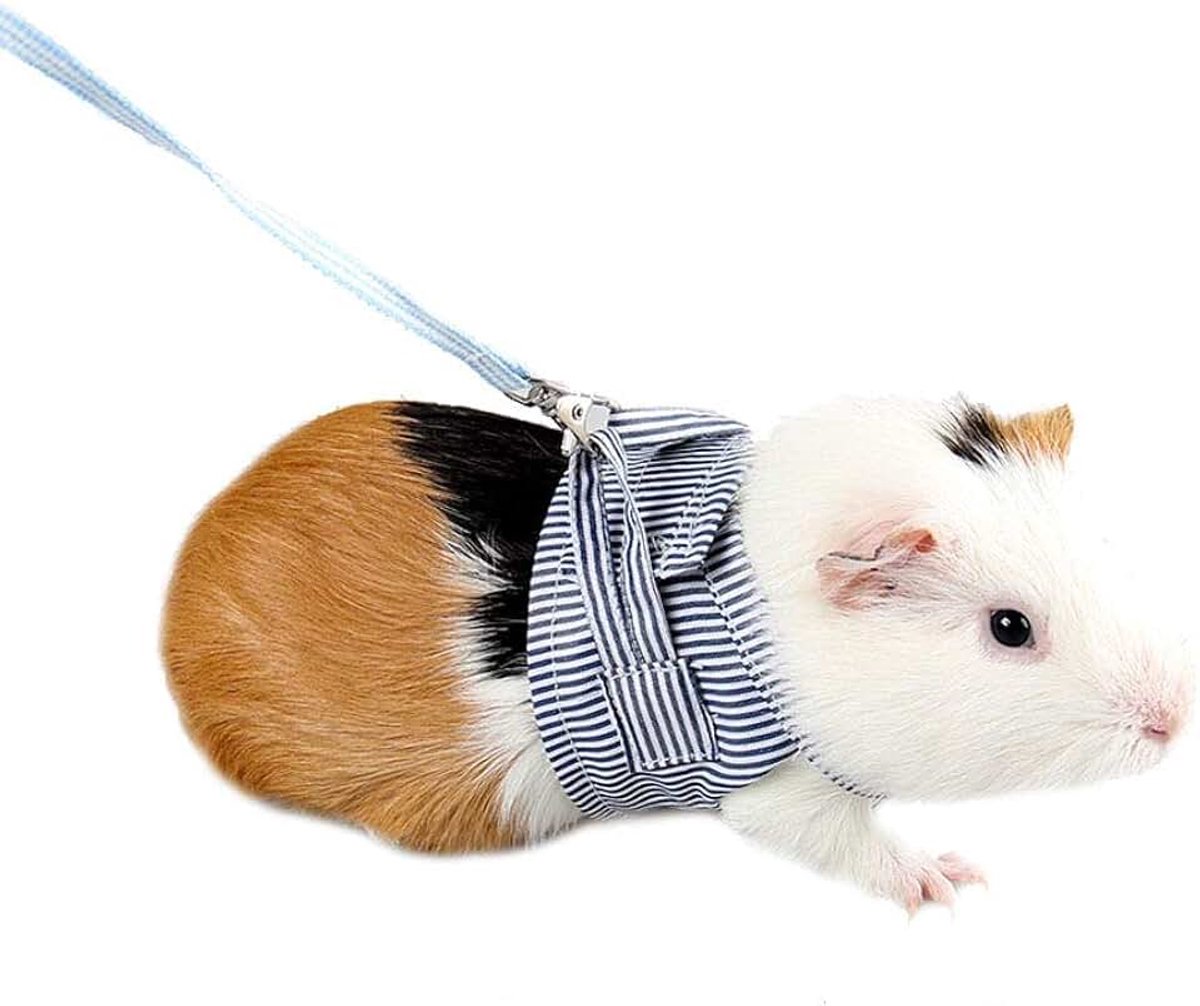 Kleine dieren harnas en riem verstelbare huisdier wandellijn comfort gewatteerd vest trainingsriem voor ratten leguaan hamster fretten klein dier