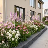 Plantenboetiek.nl | Borderpakket - Bijen en Vlinderlokkend - 24 Vaste planten - 3 m2 - Diversen kleuren - Weinig Onderhoud - Ø11cm - 20-50cm hoog - Tuinplant