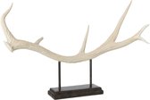 Beige gewei op donkere houten voet, met metalen staanders.