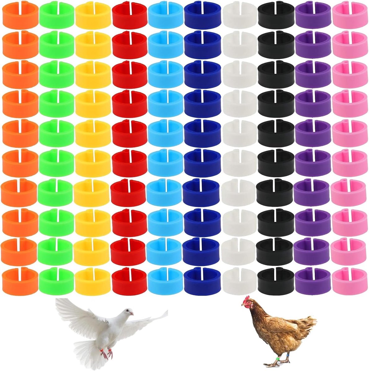 Ringen met kleuren - 10 kleuren, kleine duiven, gelklemringen voor poten van kuikens, kuikens, zeeduiven