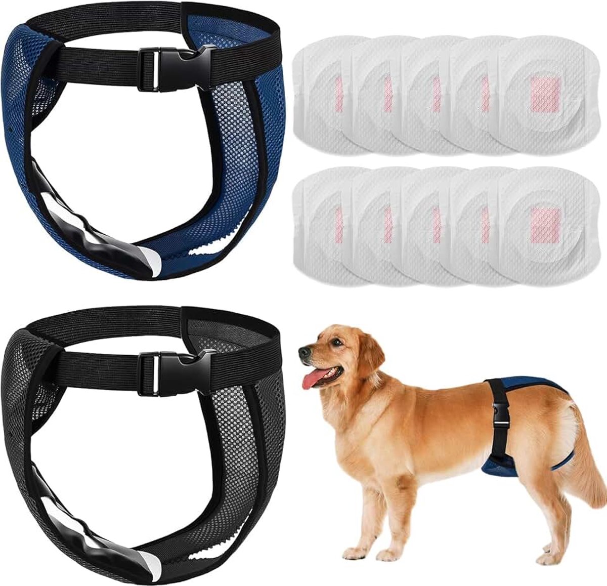 2 stuks teef loopsbroek, broekje voor honden, loopsheid, beschermbroek, wasbaar, hondenbroek, herbruikbaar, met 10 maandverband, verstelbare hondenluiers voor teven (XXL)