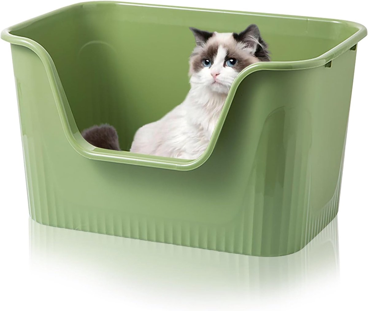 kattenbak, open, groot, 44 x 38 x 22 cm, hoge rand, zonder deksel, spatwaterdicht, voor grote katten en kleine katjes, XXL toilet, groen