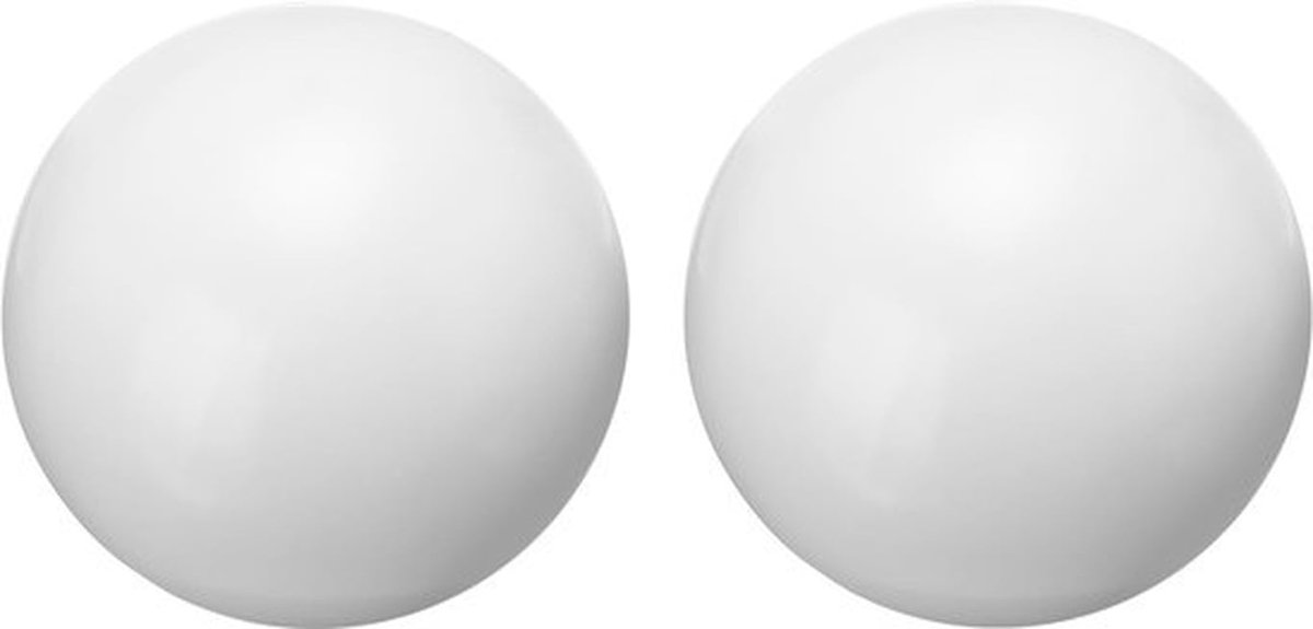 Decoratieve Aardbol Glanzend - 63 mm - Roestvrij Staal - Tuindecoratie - Reflecterende Bol - 2 Stuks - Hoge Duurzaamheid - Reflectiebol